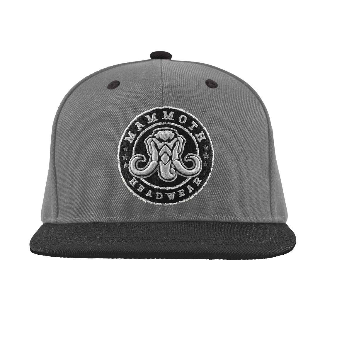 Classic SnapBack - Grey