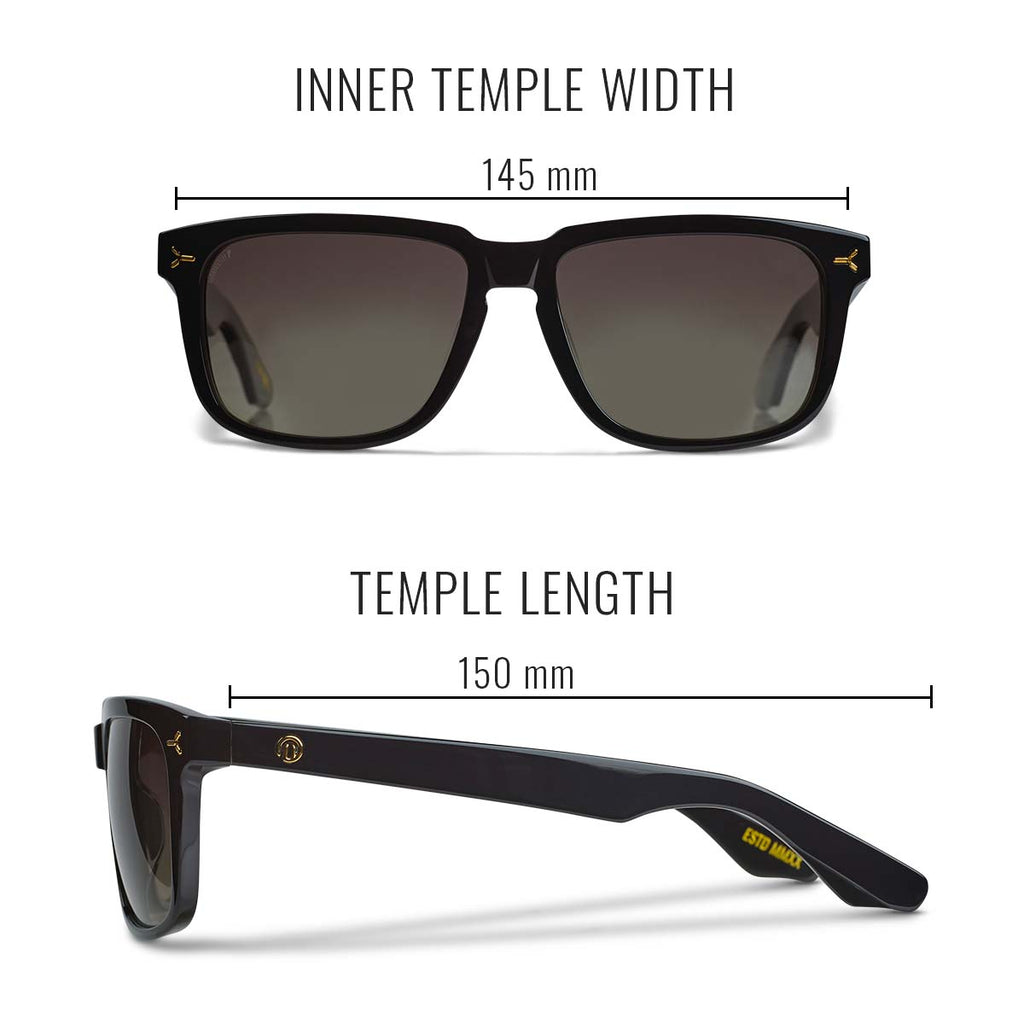 Ari Sunglasses - Brown Tortoise